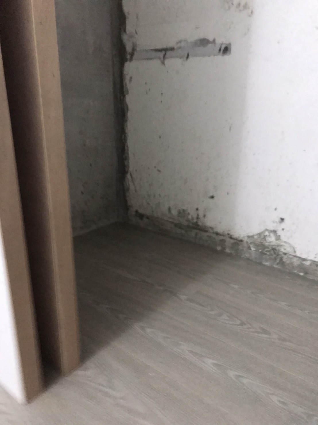 點我！看放大圖